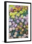 Massif De Chrysanthemes, 1897-Claude Monet-Framed Giclee Print