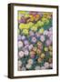 Massif De Chrysanthemes, 1897-Claude Monet-Framed Giclee Print