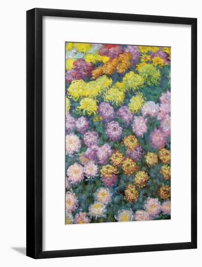 Massif De Chrysanthemes, 1897-Claude Monet-Framed Giclee Print