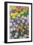 Massif De Chrysanthemes, 1897-Claude Monet-Framed Premium Giclee Print