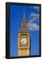 Essential Black