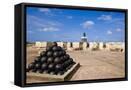 Framed Canvas