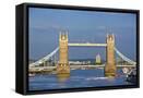 Framed Canvas