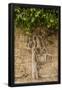 Essential Black