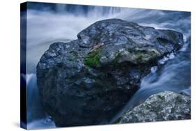 Massive Moss Covered Rock Under Waterfalls-Anthony Paladino-Stretched Canvas