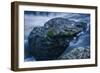 Massive Moss Covered Rock Under Waterfalls-Anthony Paladino-Framed Giclee Print