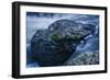 Massive Moss Covered Rock Under Waterfalls-Anthony Paladino-Framed Giclee Print