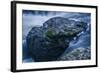 Massive Moss Covered Rock Under Waterfalls-Anthony Paladino-Framed Giclee Print