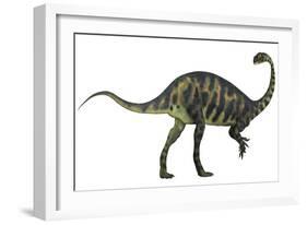 Massospondylus Dinosaur Fromt He Jurassic Age of Africa-null-Framed Art Print