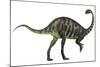 Massospondylus Dinosaur Fromt He Jurassic Age of Africa-null-Mounted Art Print