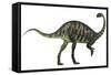 Massospondylus Dinosaur Fromt He Jurassic Age of Africa-null-Framed Stretched Canvas