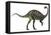 Massospondylus Dinosaur Fromt He Jurassic Age of Africa-null-Framed Stretched Canvas