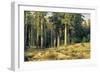 Mast-Tree Grove-Ivan Ivanovich Schischkin-Framed Art Print