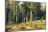 Mast-Tree Grove-Ivan Ivanovich Schischkin-Mounted Art Print