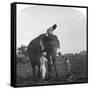 Master Ekbal Feeding an Elephant, India, 1900s-null-Framed Stretched Canvas