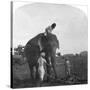 Master Ekbal Feeding an Elephant, India, 1900s-null-Stretched Canvas