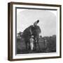 Master Ekbal Feeding an Elephant, India, 1900s-null-Framed Giclee Print