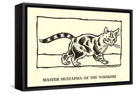 Master Mustapha Of The Whiskers-Frank Dobias-Framed Stretched Canvas