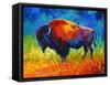 Master Of His Herd-Marion Rose-Framed Stretched Canvas