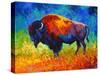Master Of His Herd-Marion Rose-Stretched Canvas