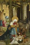 The Nativity, 1507-10-Master of Pulkau-Giclee Print