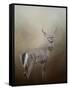 Master of the Forest-Jai Johnson-Framed Stretched Canvas