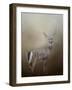 Master of the Forest-Jai Johnson-Framed Giclee Print