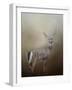 Master of the Forest-Jai Johnson-Framed Giclee Print