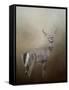 Master of the Forest-Jai Johnson-Framed Stretched Canvas