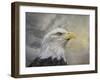 Master of the Skies-Jai Johnson-Framed Giclee Print