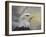 Master of the Skies-Jai Johnson-Framed Giclee Print