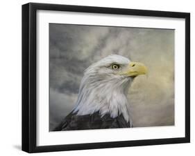 Master of the Skies-Jai Johnson-Framed Giclee Print