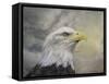 Master of the Skies-Jai Johnson-Framed Stretched Canvas