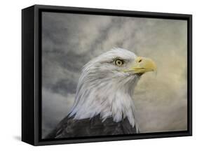 Master of the Skies-Jai Johnson-Framed Stretched Canvas