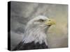 Master of the Skies-Jai Johnson-Stretched Canvas