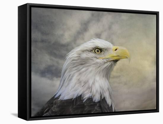 Master of the Skies-Jai Johnson-Framed Stretched Canvas