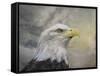 Master of the Skies-Jai Johnson-Framed Stretched Canvas