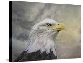 Master of the Skies-Jai Johnson-Stretched Canvas