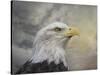 Master of the Skies-Jai Johnson-Stretched Canvas