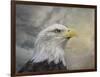 Master of the Skies-Jai Johnson-Framed Giclee Print