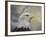 Master of the Skies-Jai Johnson-Framed Giclee Print