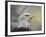 Master of the Skies-Jai Johnson-Framed Giclee Print