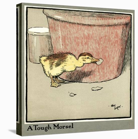 Master Quack the Duckling Finds a Tough Morsel-Cecil Aldin-Stretched Canvas