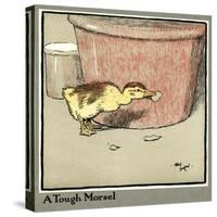Master Quack the Duckling Finds a Tough Morsel-Cecil Aldin-Stretched Canvas