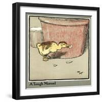 Master Quack the Duckling Finds a Tough Morsel-Cecil Aldin-Framed Art Print