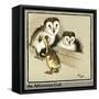 Master Quack the Duckling Meets Two Owls-Cecil Aldin-Framed Stretched Canvas