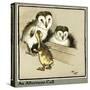 Master Quack the Duckling Meets Two Owls-Cecil Aldin-Stretched Canvas