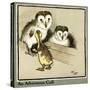 Master Quack the Duckling Meets Two Owls-Cecil Aldin-Stretched Canvas