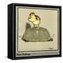 Master Quack the Duckling Riding a Tortoise-Cecil Aldin-Framed Stretched Canvas