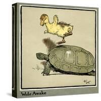 Master Quack the Duckling Thrown into the Air-Cecil Aldin-Stretched Canvas